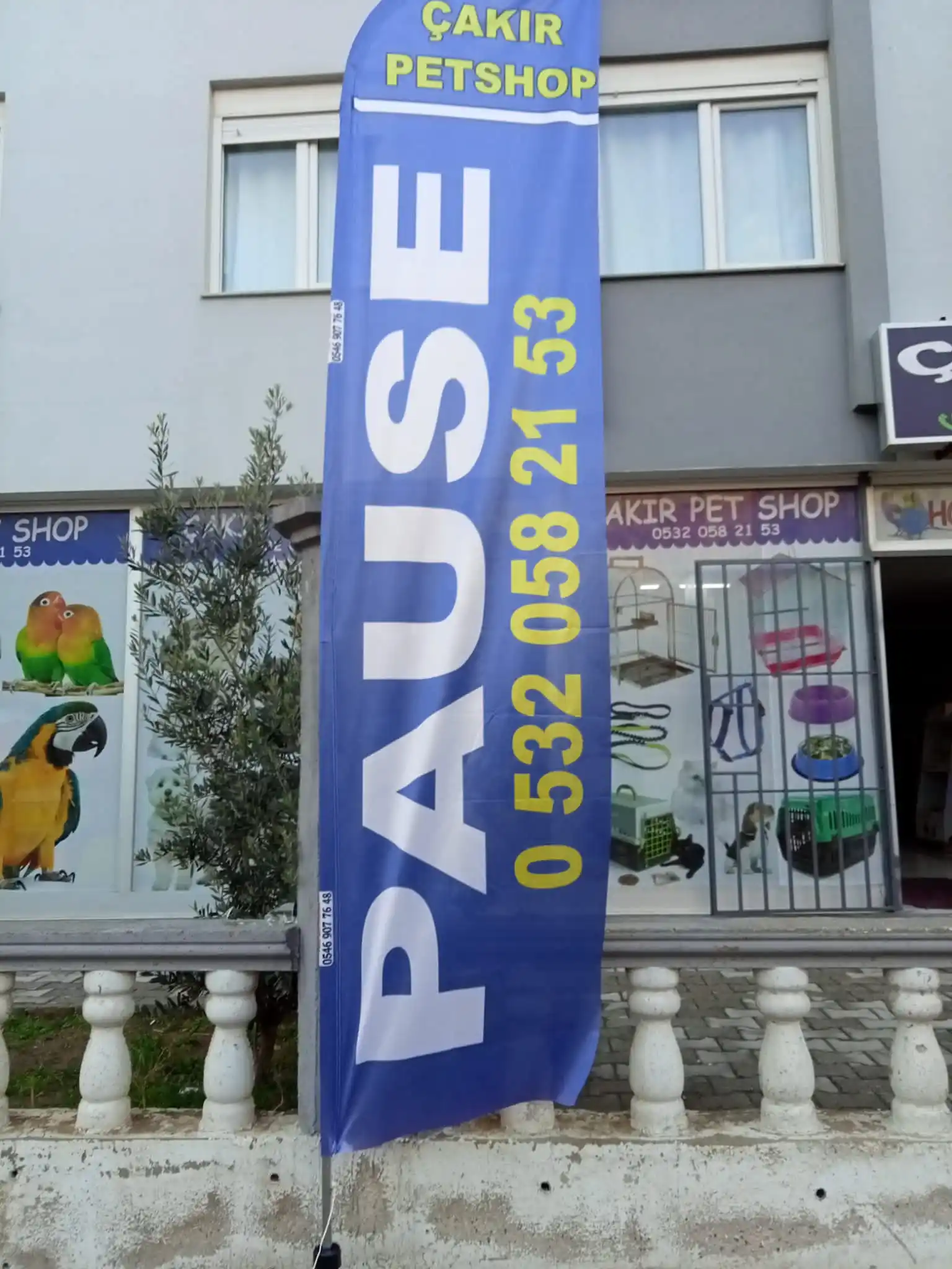 petshop-yelken-bayragi-11
