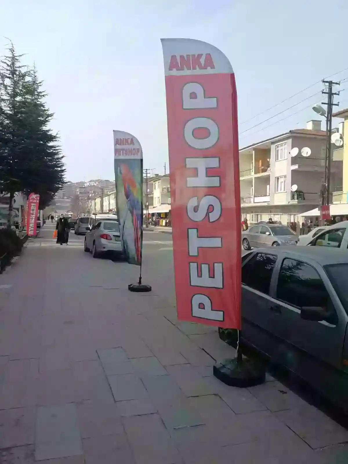 petshop-yelken-bayragi-18