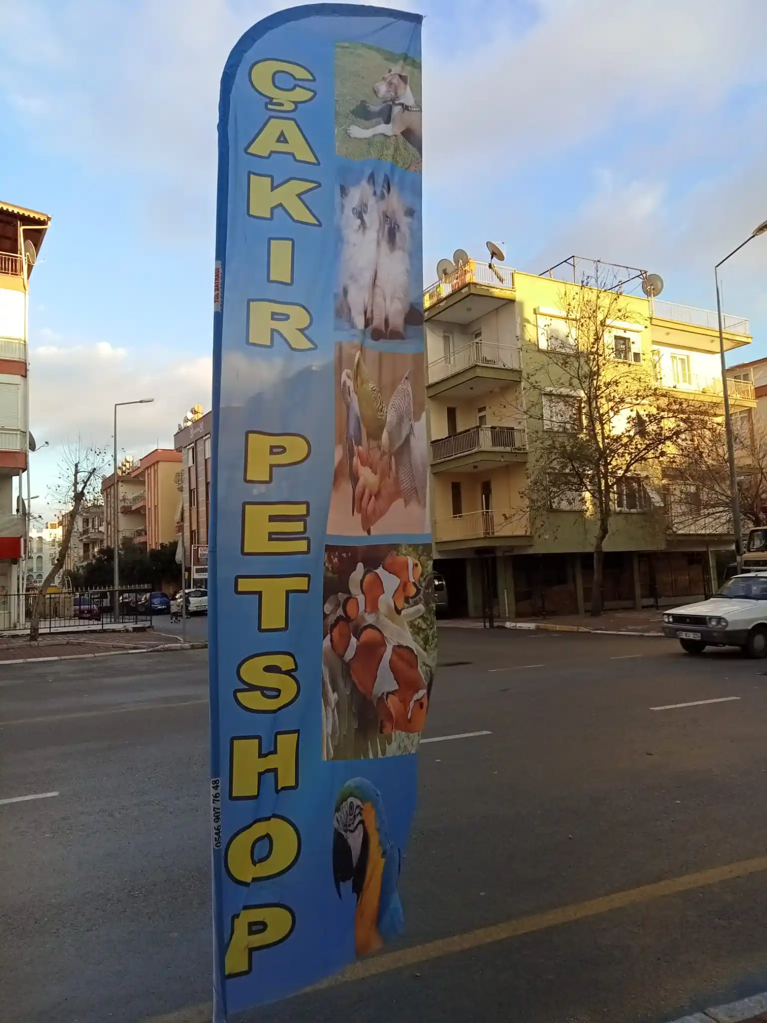 petshop-yelken-bayragi-25