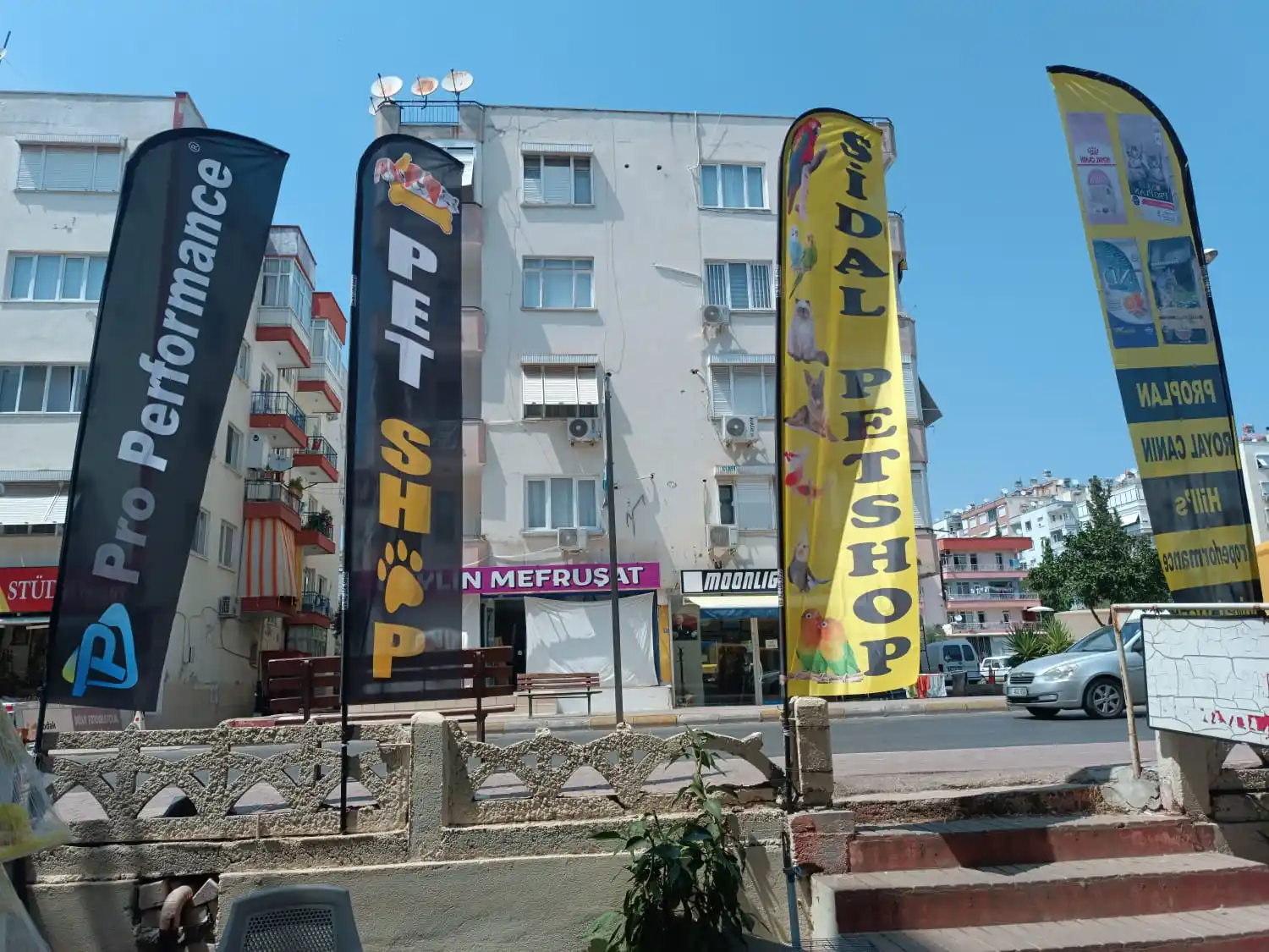 petshop-yelken-bayragi-33