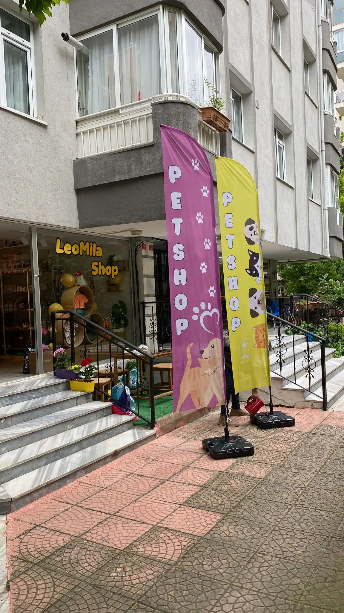 petshop-yelken-bayragi-41